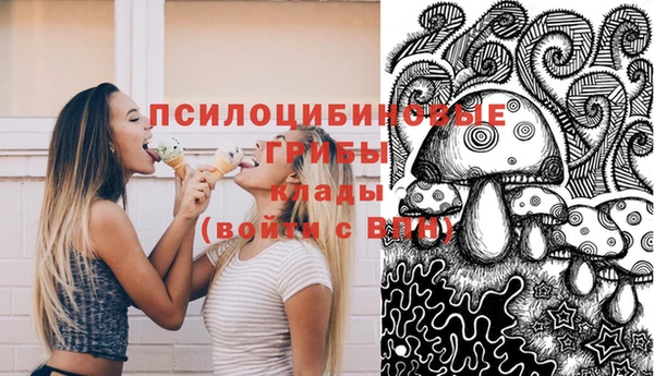 Альфа ПВП Алексин