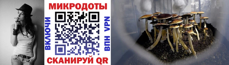 MEGA сайт  Балтийск  Галлюциногенные грибы Psilocybine cubensis  сколько стоит 